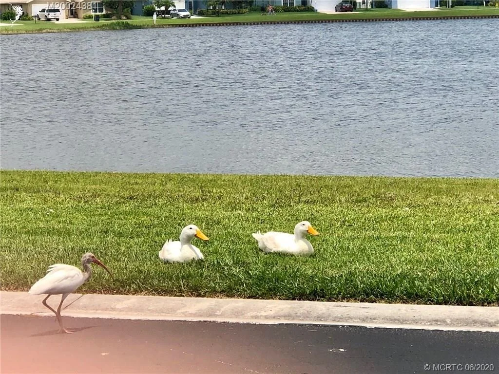 Photo of 8929 SW Chevy Circle