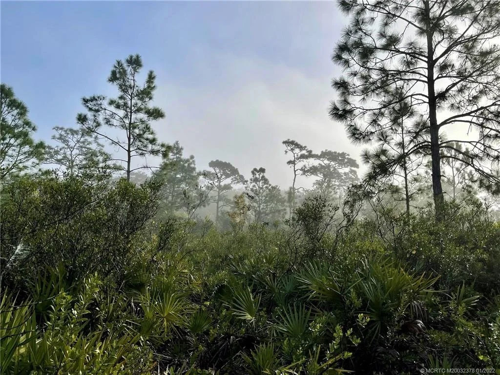 Photo of 0 Pine Avenue