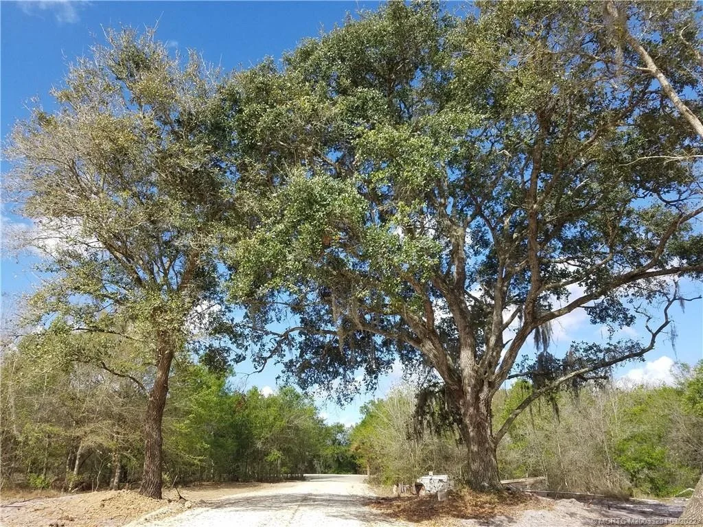 Photo of 17232 NW 250th Street