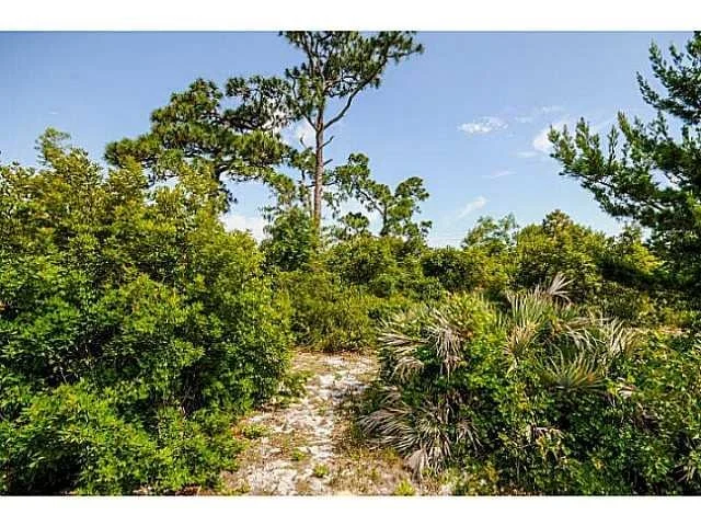 Photo of 5121 SE Great Pocket Trail