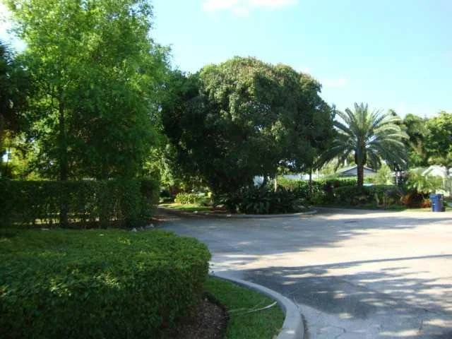 Photo of 216 SE Hibiscus Avenue