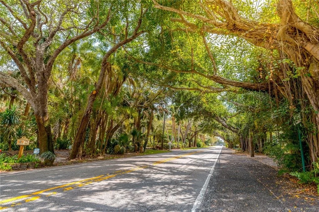 Photo of 7 Palm Road