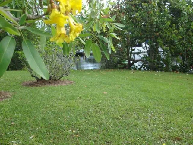 Photo of 216 SE Hibiscus Avenue