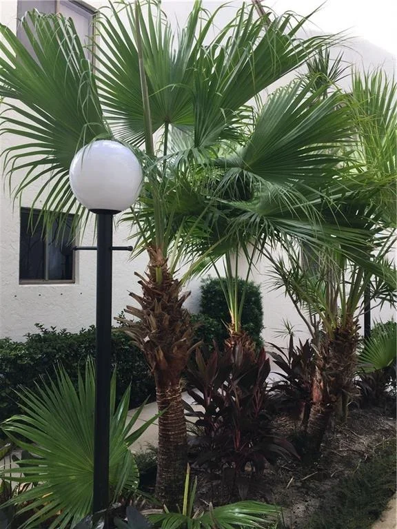 Photo of Unit TH123 at 950 S Kanner Highway