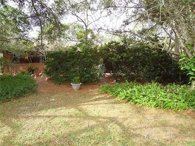 Photo of 4705 BUCHANAN Drive