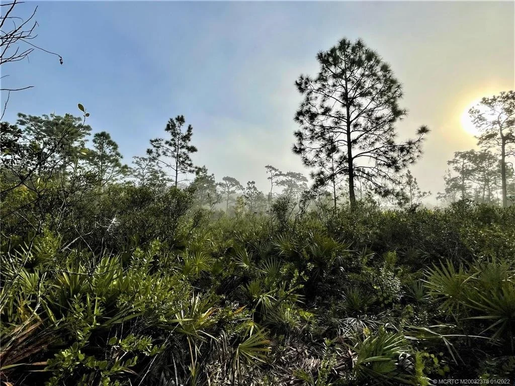 Photo of 0 Pine Avenue