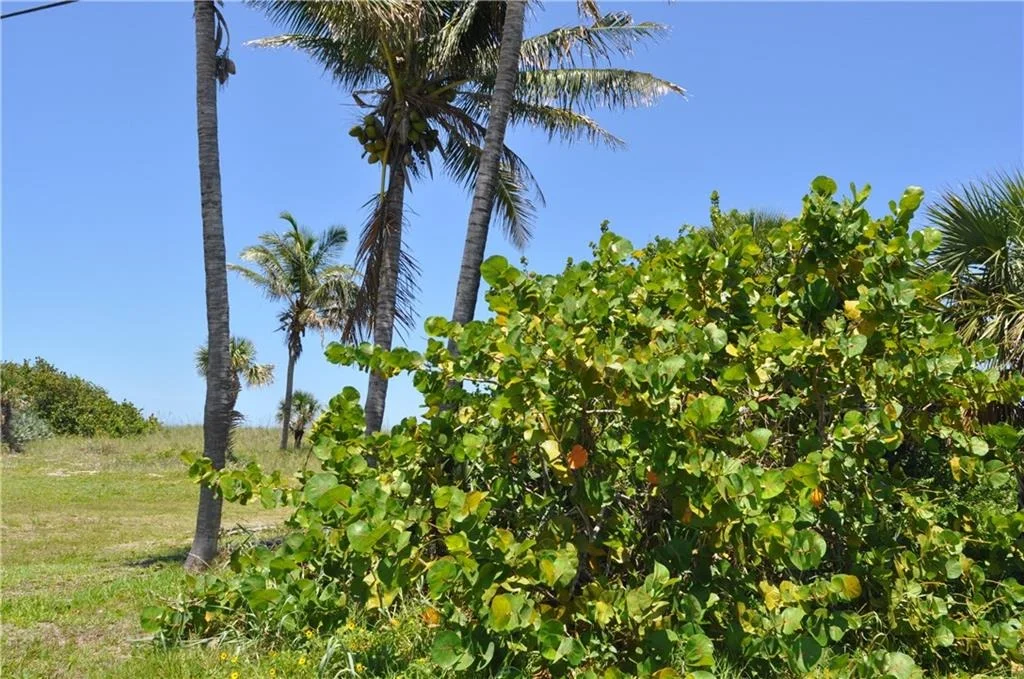 Photo of 1814 Surfside Drive