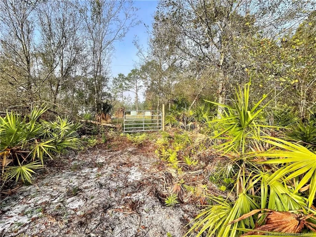 Photo of 0 Pine Avenue