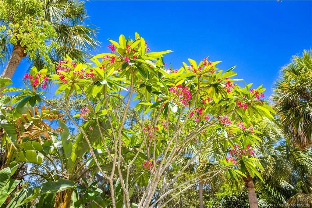 Photo of 4 Emarita Way