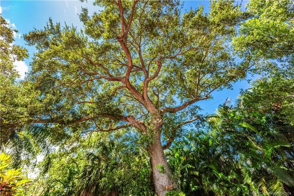 Photo of 6 Pineapple Lane