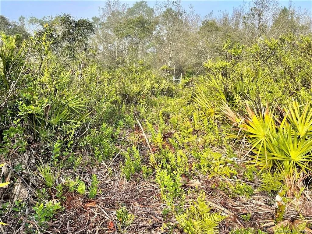 Photo of 0 Pine Avenue