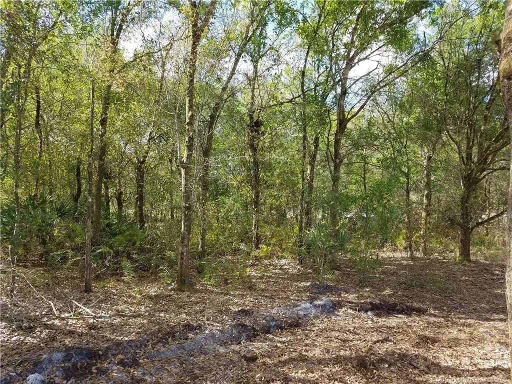 Photo of 17232 NW 250th Street
