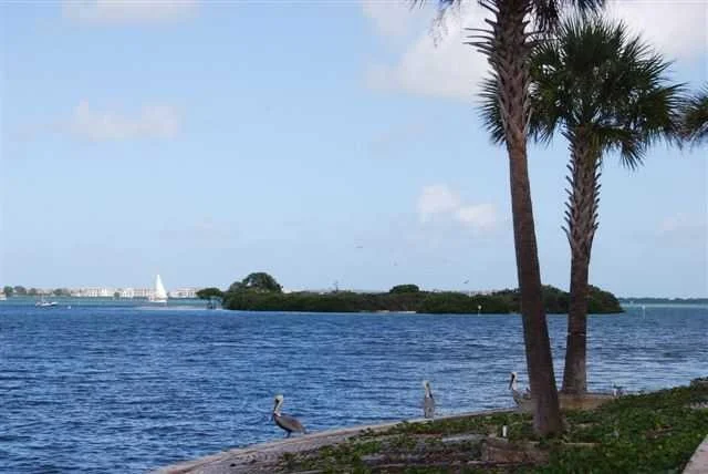 Photo of 9 Palm Road