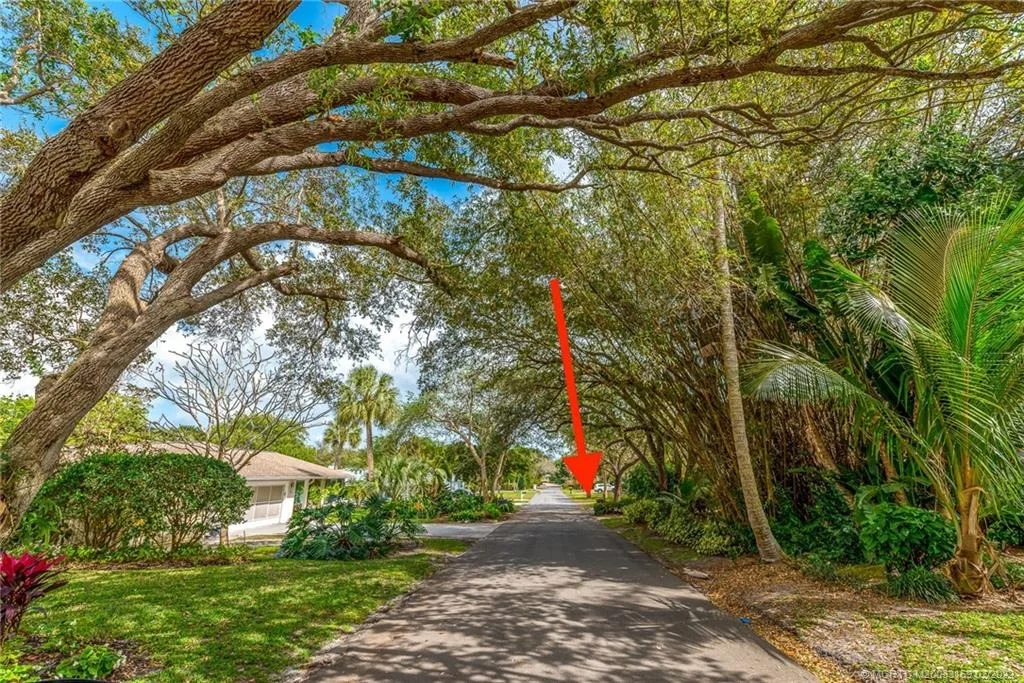 Photo of 7 Palm Road