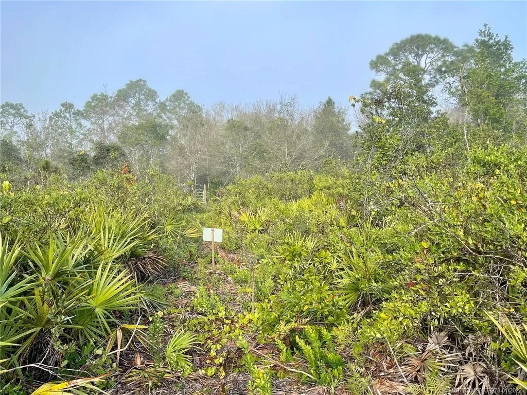 Photo of 0 Pine Avenue