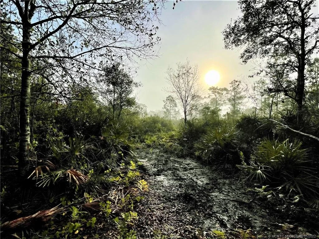 Photo of 0 Pine Avenue