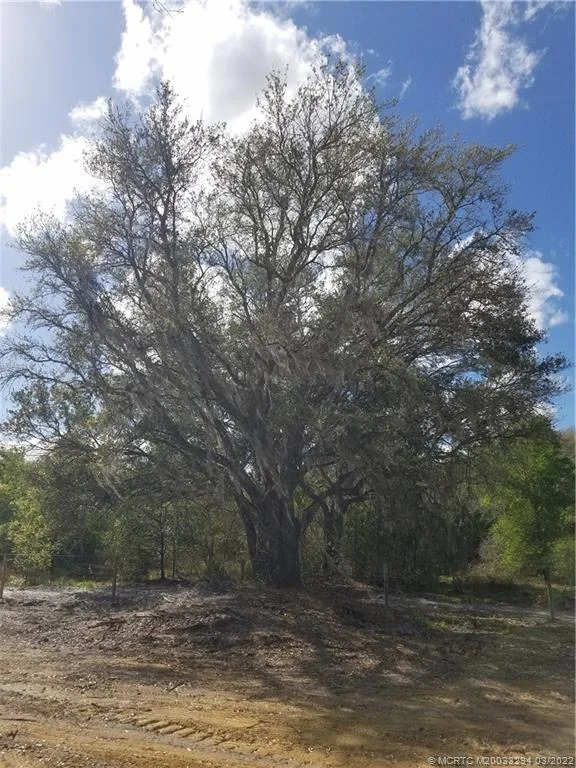 Photo of 17232 NW 250th Street