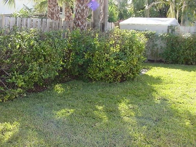 Photo of 173 SE Sailfish Lane
