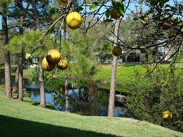 Photo of 8019 SE Colony Drive