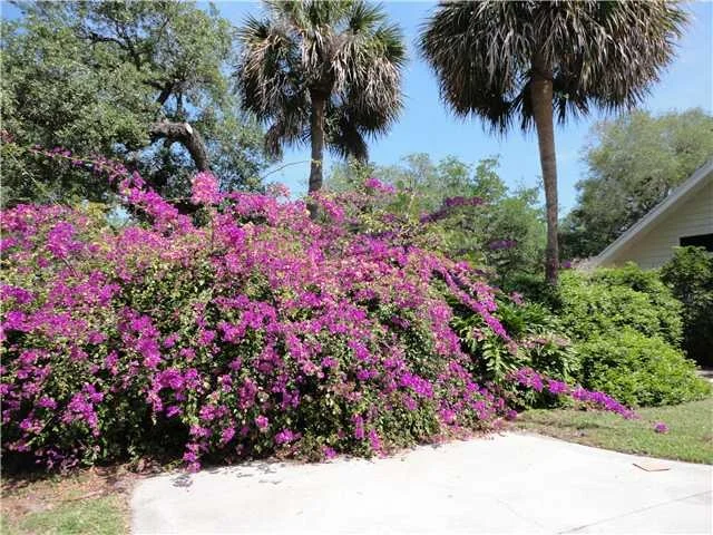 Photo of 1390 River Ridge Drive