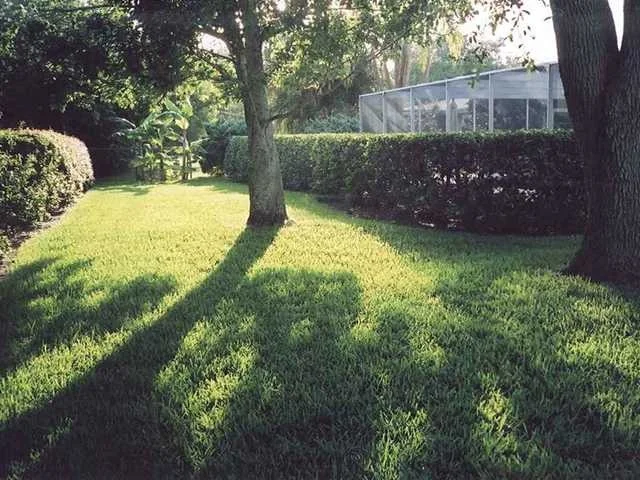 Photo of 716 Iris Lane