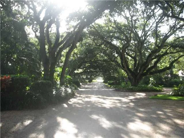Photo of 905 Lady Bug Lane