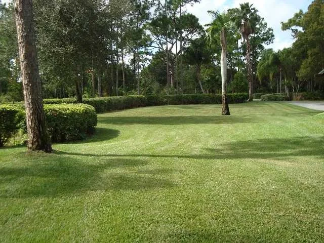 Photo of 175 Elfin