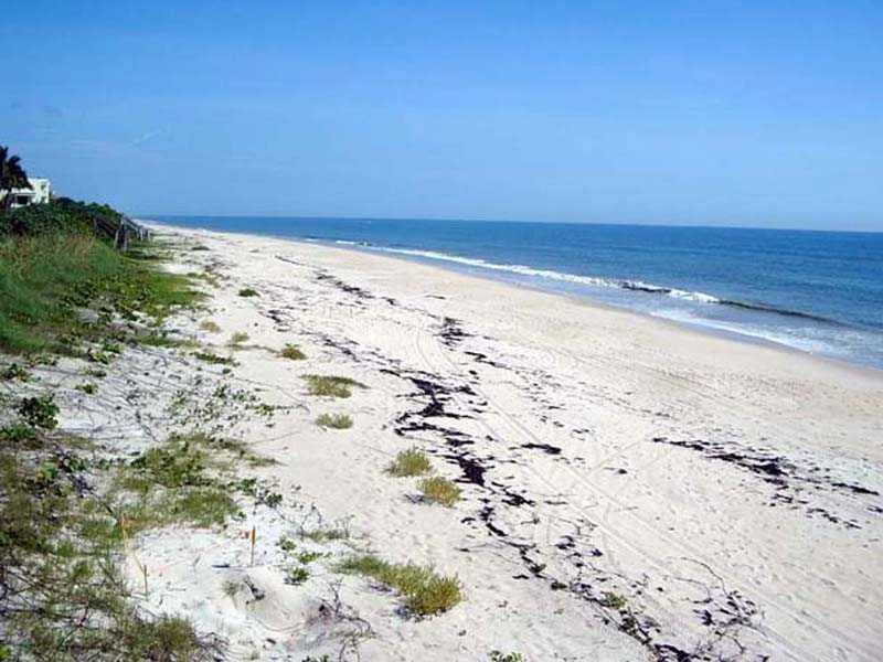 Photo of 1870 Cobia Drive