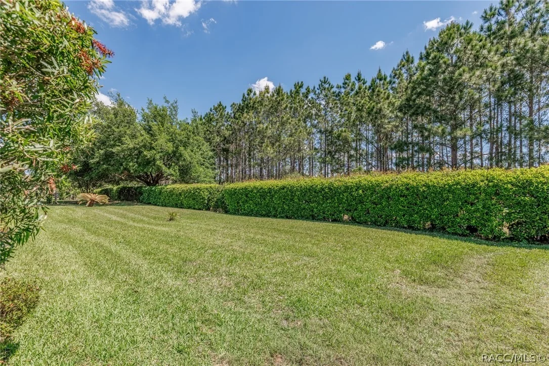 Photo of 1557 W Caroline Path