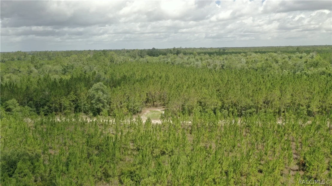 Photo of 0 US HWY 441 N