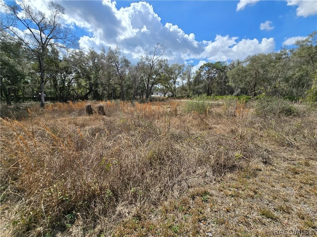 Photo of 6436 Yam Street
