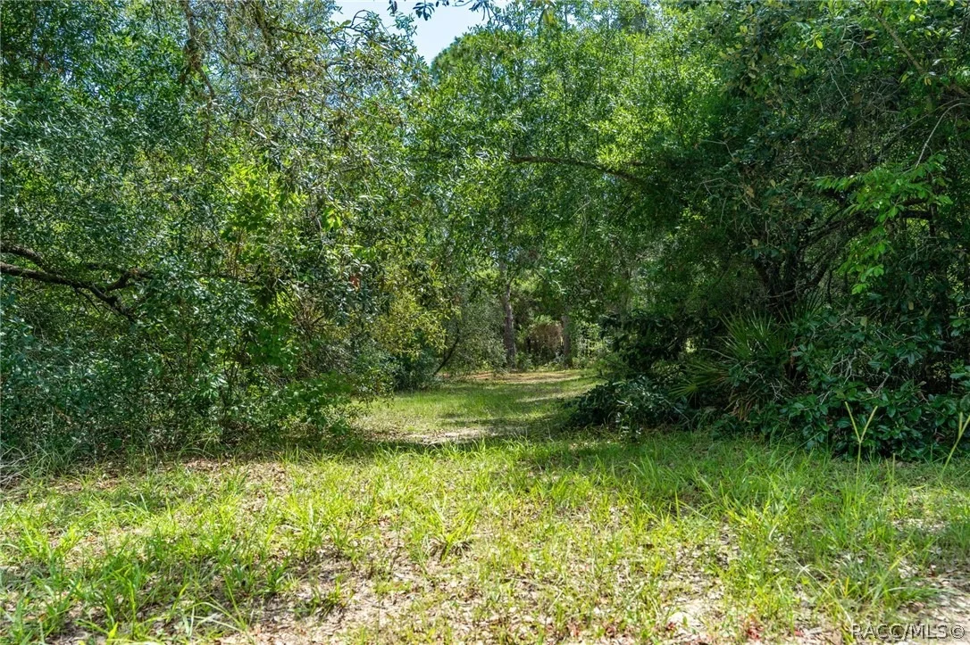 Photo of 4695 N Pine Valley Loop