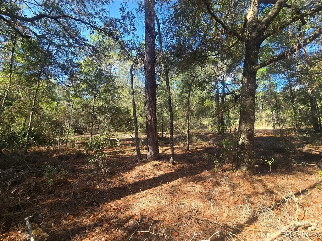 Photo of 11370 N Ortega Point