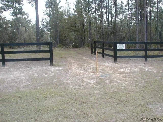 Photo of 4611 N Rushmore Loop