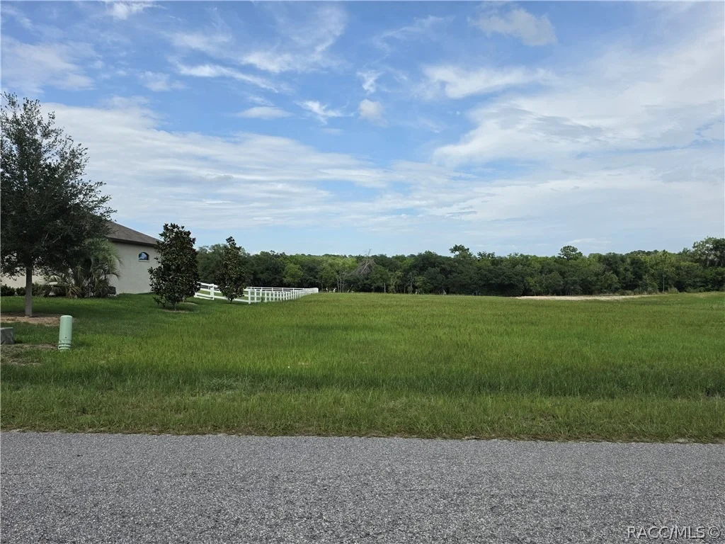 Photo of 1359 N Spend A Buck Drive