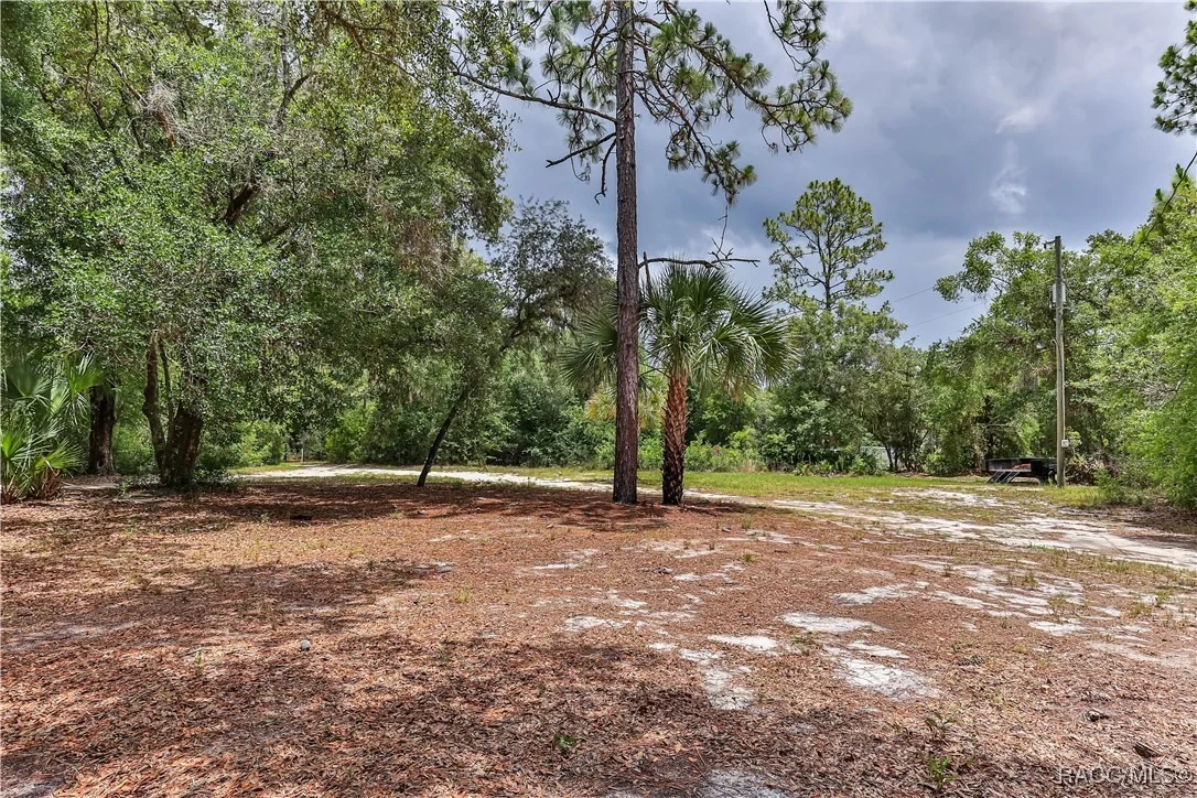 Photo of 7338 N NATHAN Point