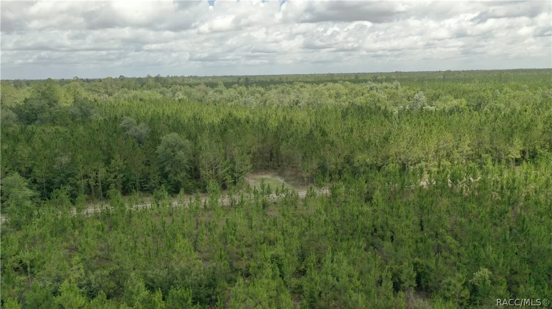 Photo of 0 US HWY 441 N