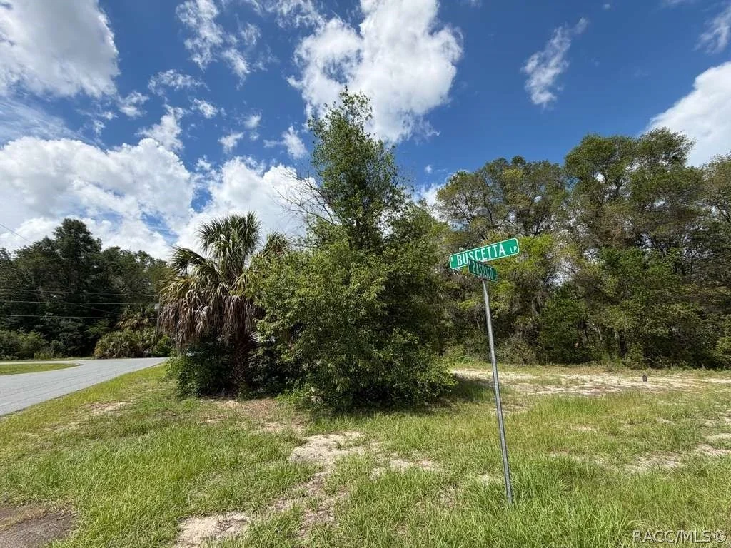 Photo of 8549 N Buscetta Loop