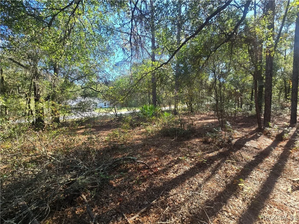 Photo of 11370 N Ortega Point
