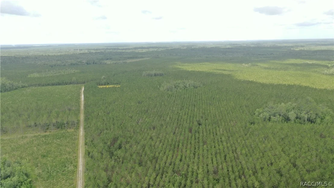 Photo of 0 US HWY 441 N