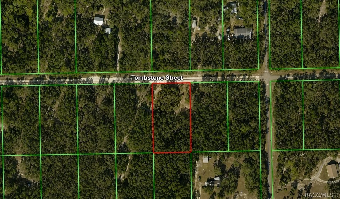 Photo of 33240 Tombstone Street