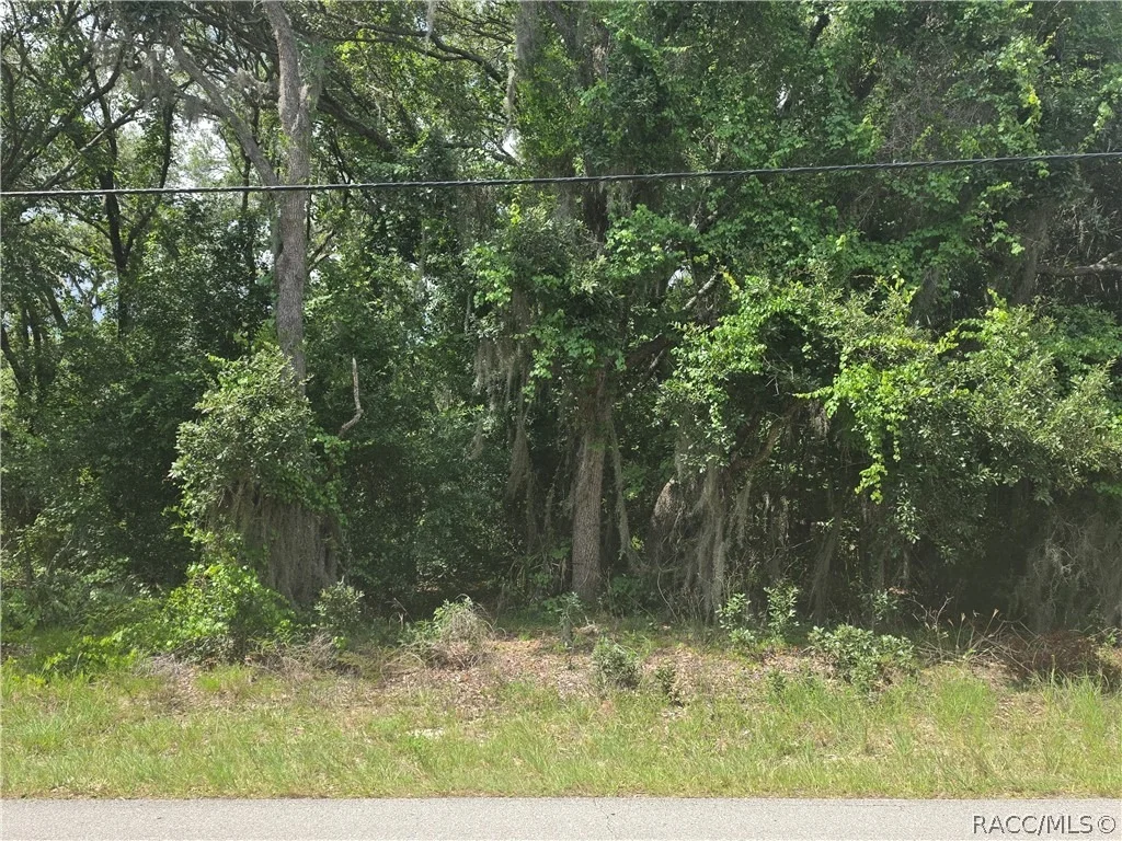 Photo of 135 W Pearson Street