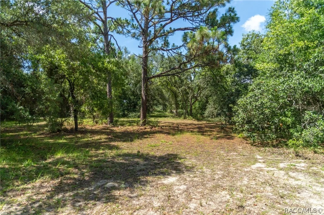 Photo of 4695 N Pine Valley Loop