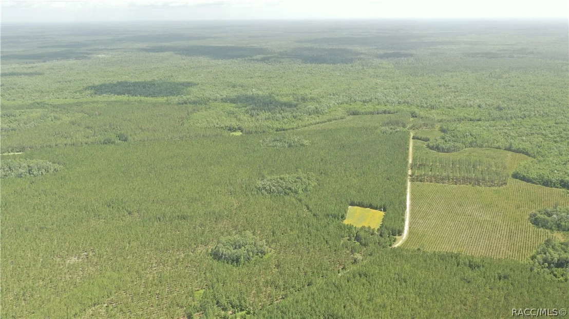 Photo of 0 US HWY 441 N