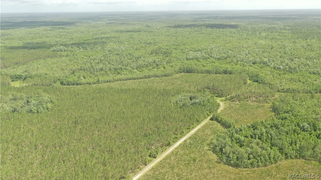 Photo of 0 US HWY 441 N