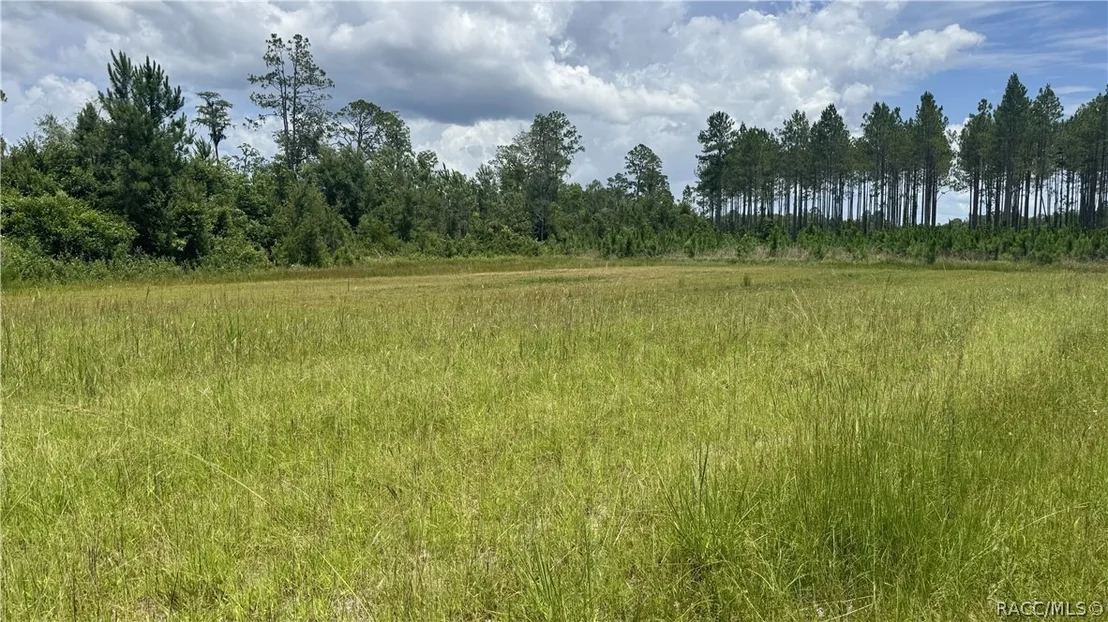Photo of 0 US HWY 441 N
