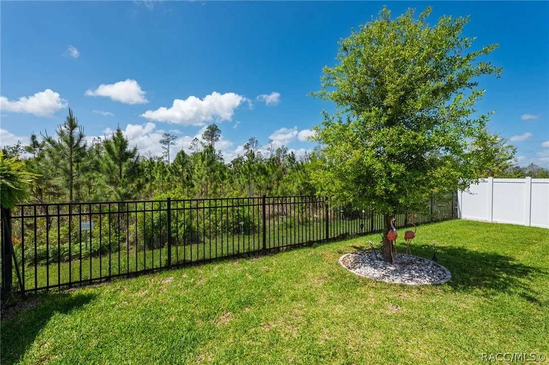 Photo of 121 Nighthawk Lane