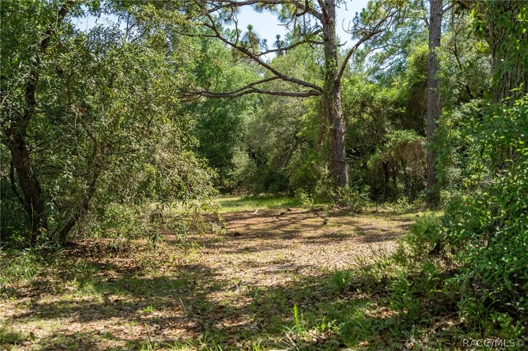 Photo of 4695 N Pine Valley Loop