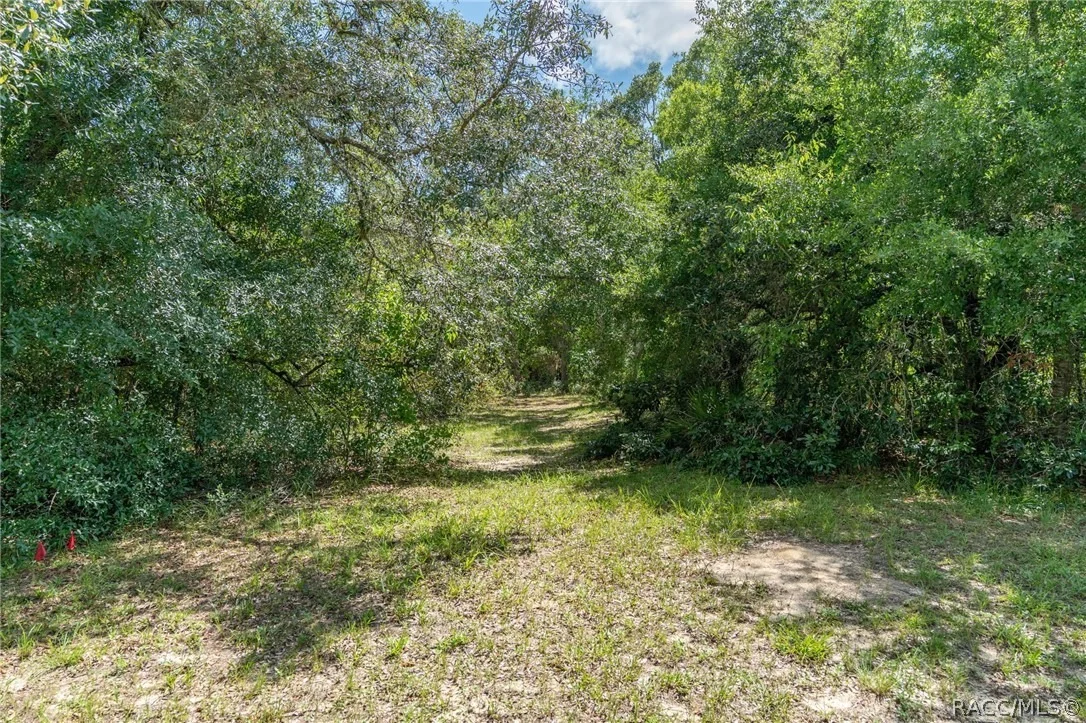 Photo of 4695 N Pine Valley Loop