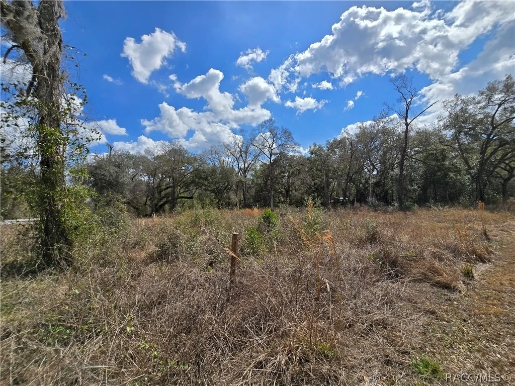 Photo of 6436 Yam Street
